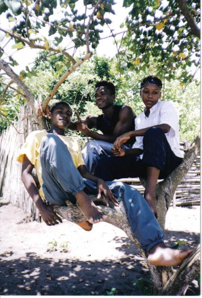 toybou, simon & alhadi